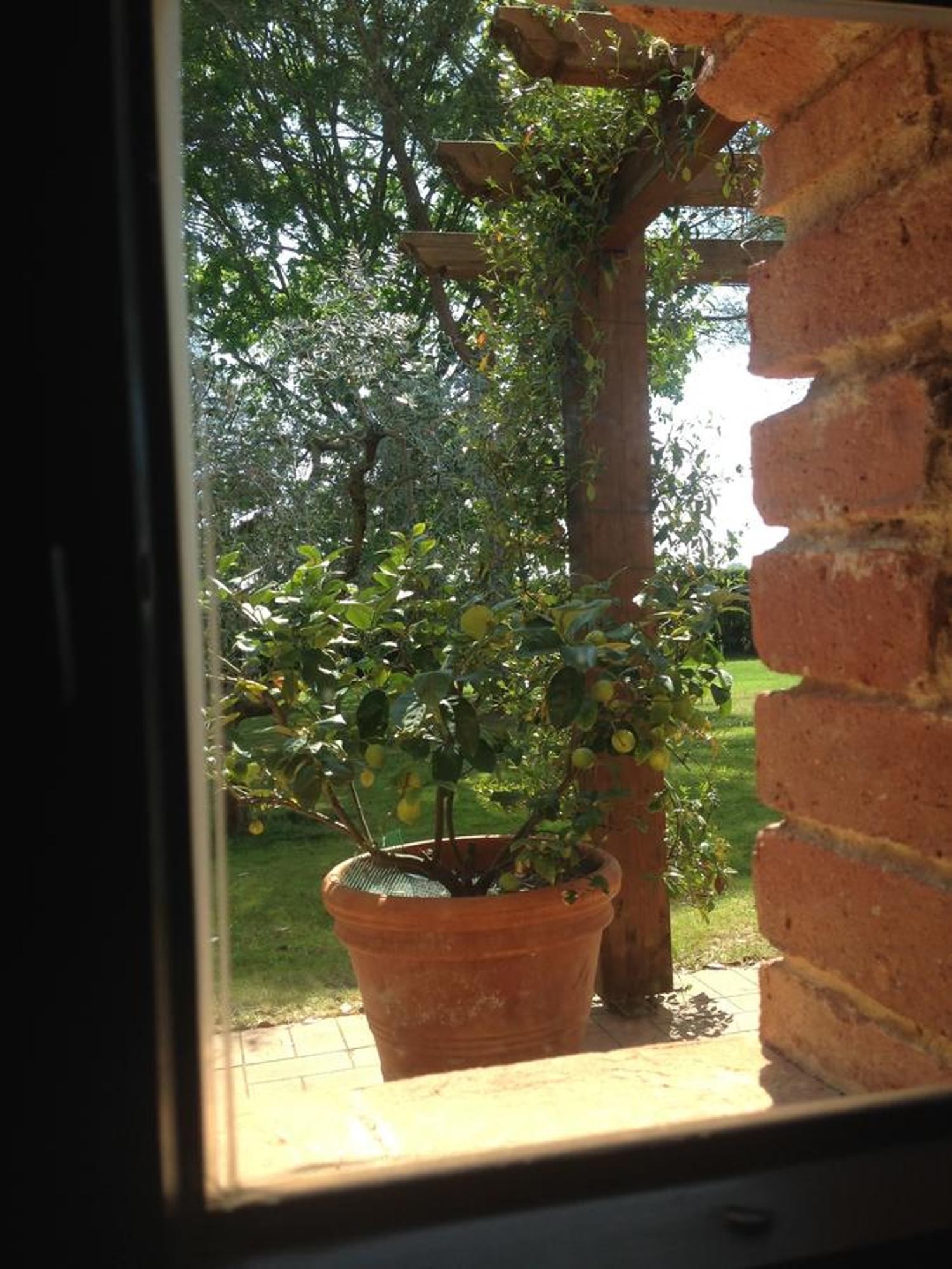 Fattoria Cirene Guest House Follonica Room photo